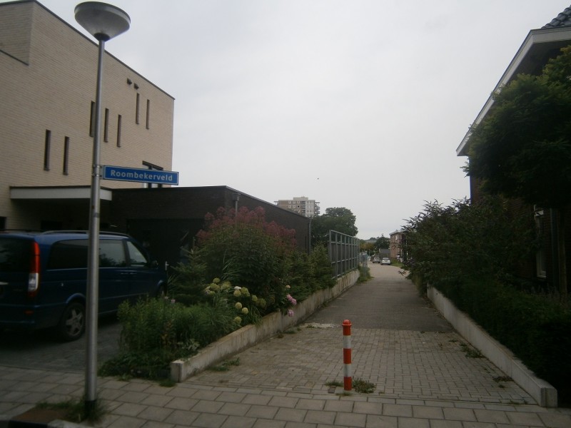Roombekerveld vanaf Steenbeltweg.JPG