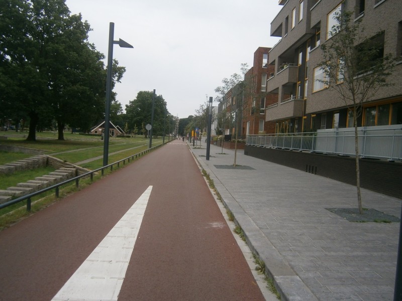 Lonnekerspoorlaan links Het Vrijdag.JPG