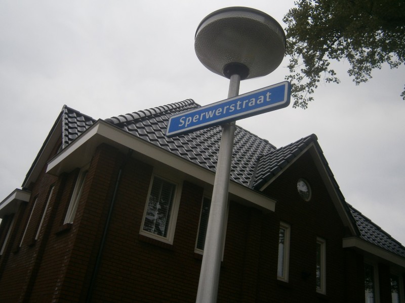 Sperwerstraat straatnaambord.JPG