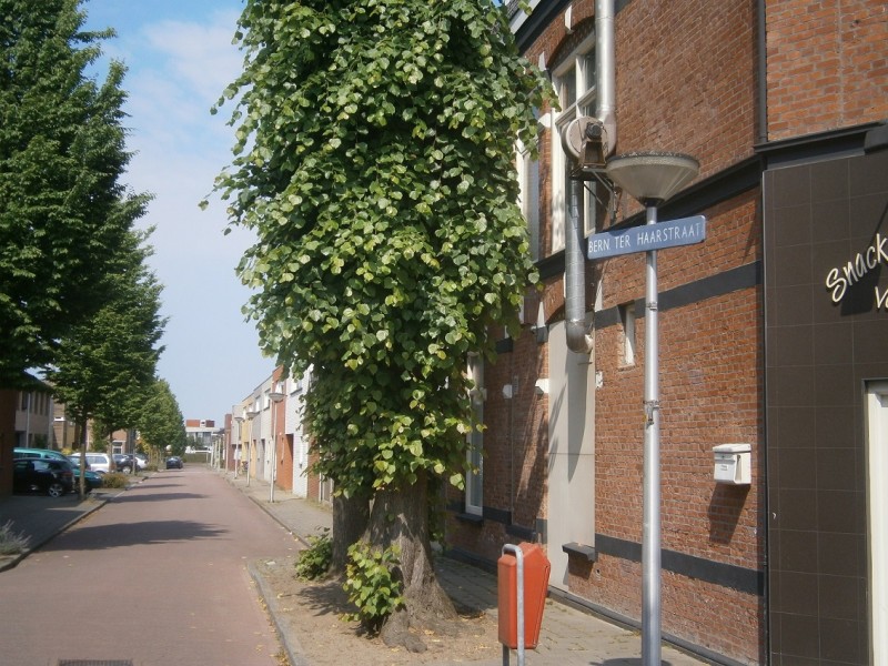 Bernard ter Haarstraat vanaf De Vluchtestraat.JPG