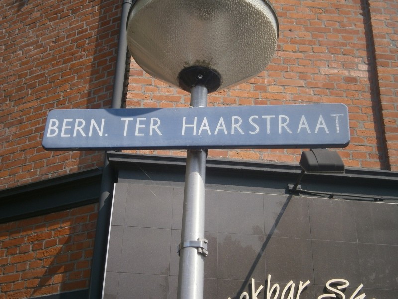 Bernard ter Haarstraat straatnaambord.JPG