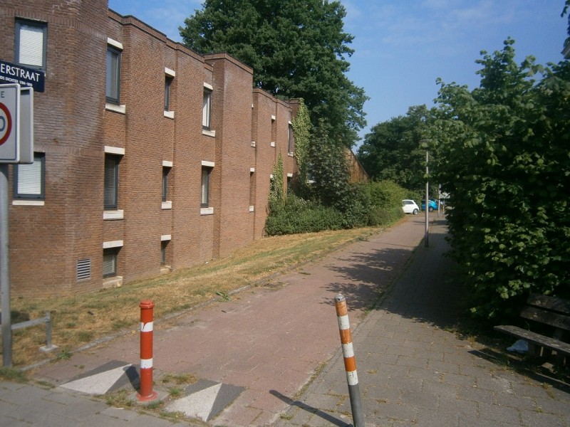 Borgerstraat vanaf Lasondersingel.JPG