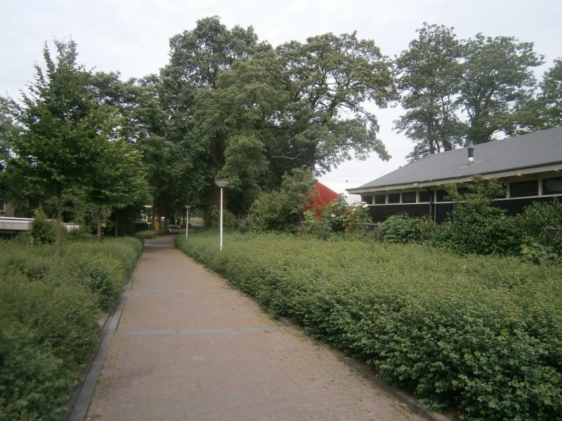 Leemhof vanaf Schreursweg.JPG