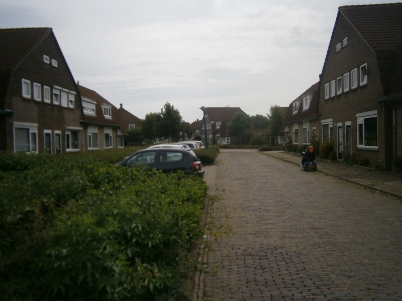 Ringovenstraat vanaf Elshofstraat.JPG