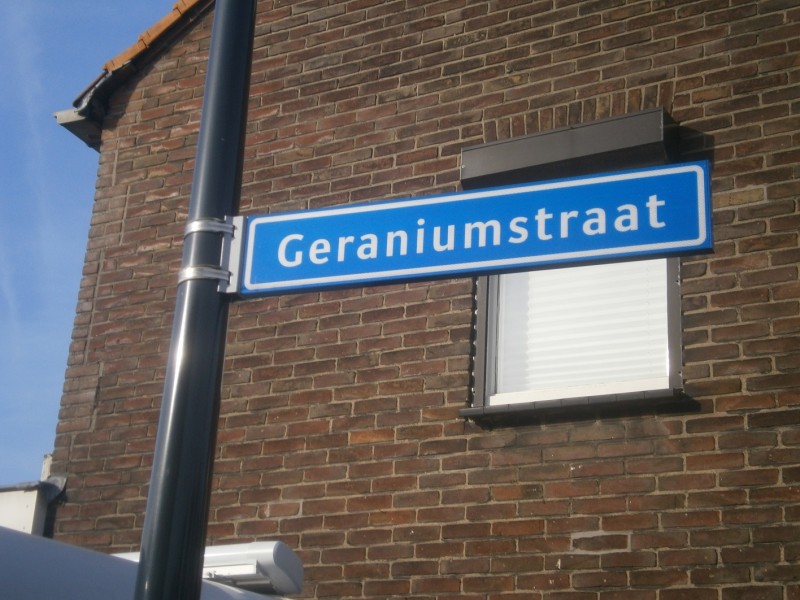 Gerananiumstraat straatnaambord.JPG