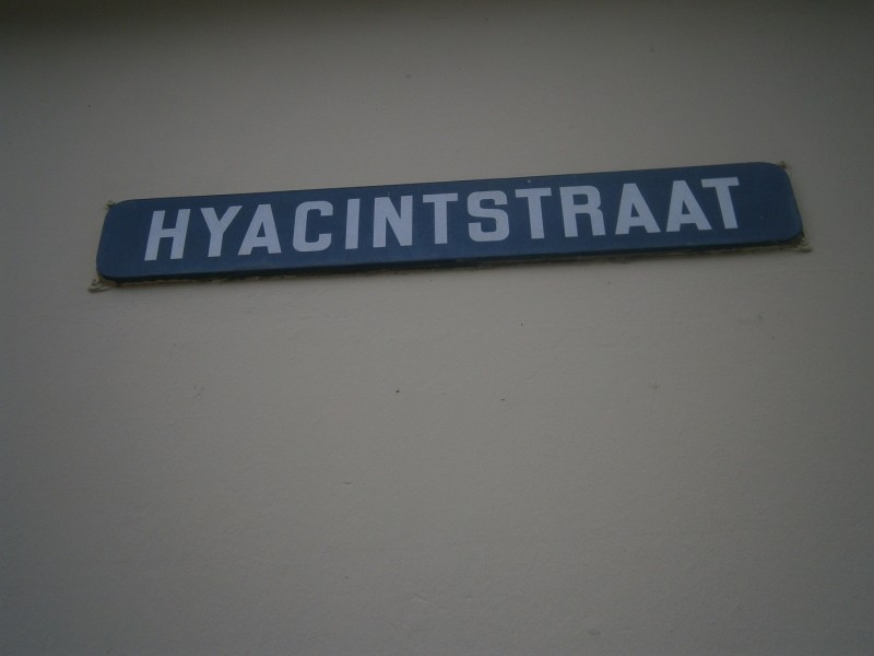 Hyacintstraat straatnaambord.JPG