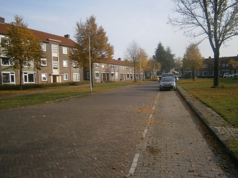 Gladiolenstraat (2).JPG