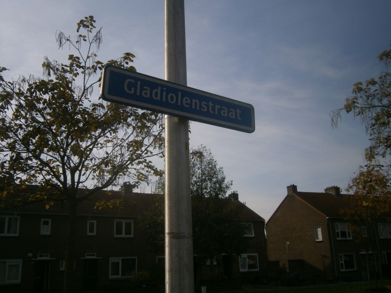 Gladiolenstraat straatnaambord.JPG