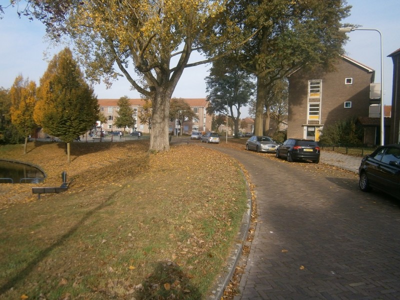 Weth. Haantjesstraat (2).JPG