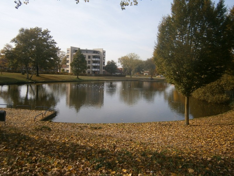 Weth. Haantjesstraat vijver Roberskom.JPG