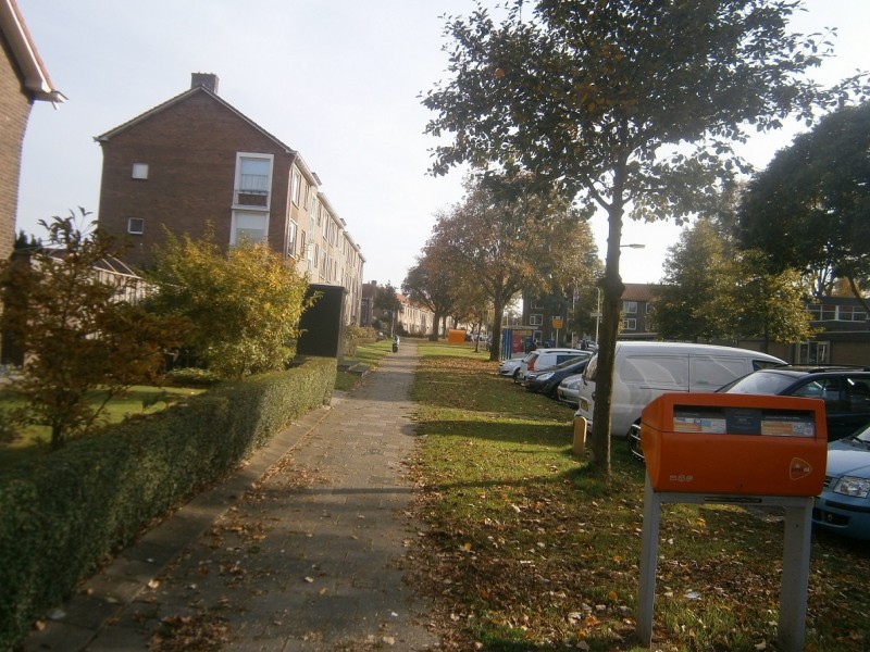 Dotterbloemstraat (2).JPG