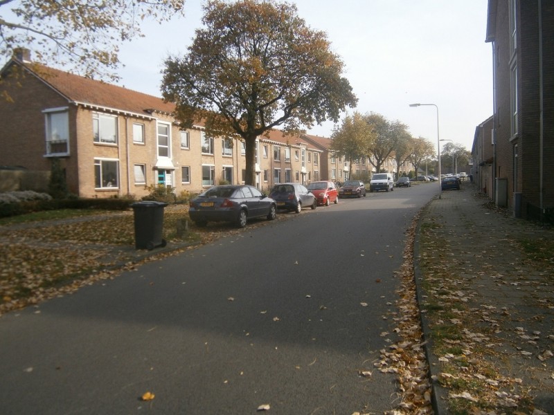 Dotterbloemstraat.JPG