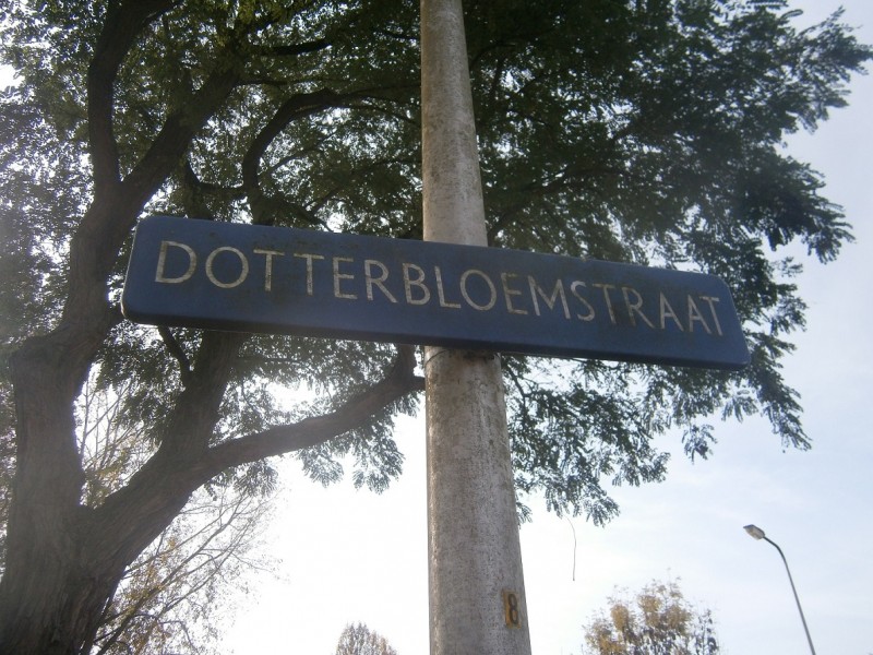 Dotterbloemstraat straatnaambord.JPG