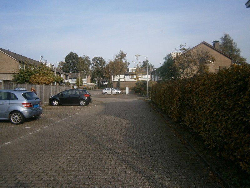Goudsbloemstraat (2).JPG