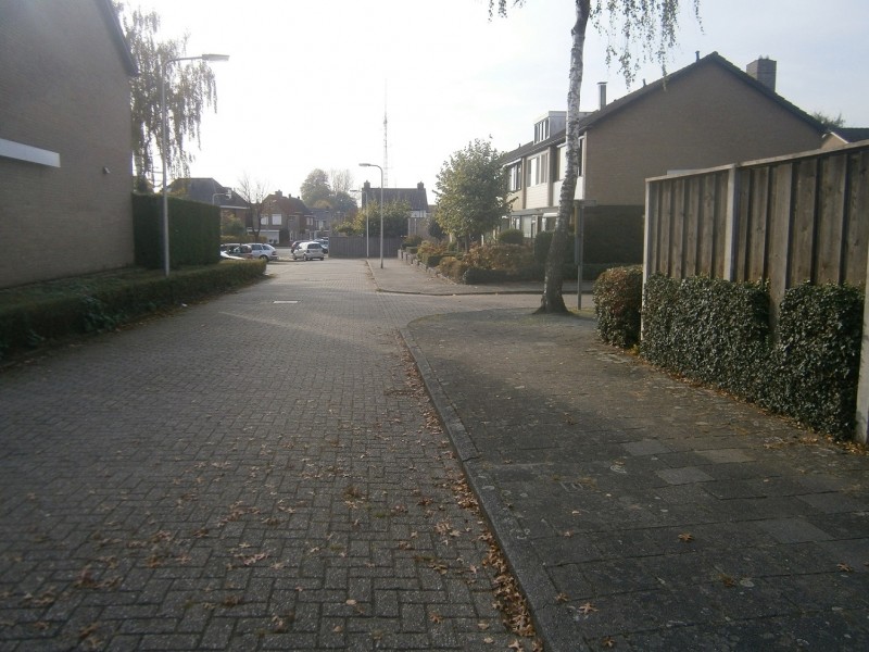 Goudsbloemstraat.JPG