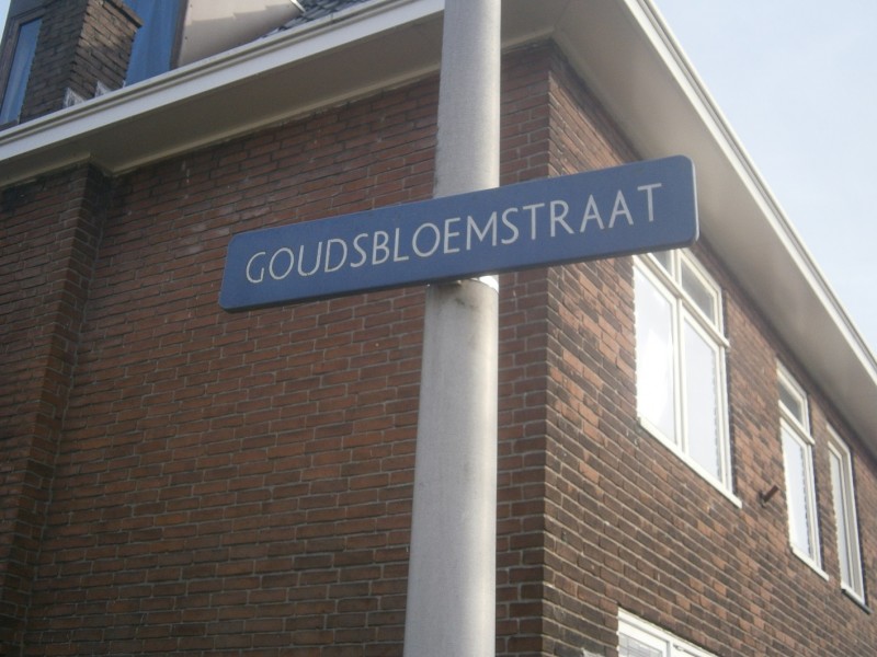 Goudsbloemstraat straatnaambord.JPG