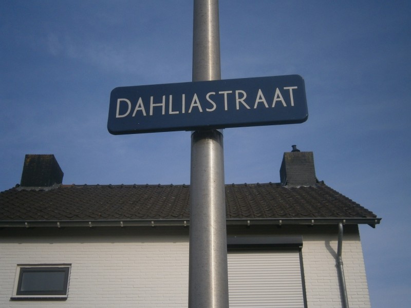 Dahliastraat straatnaambord (2).JPG