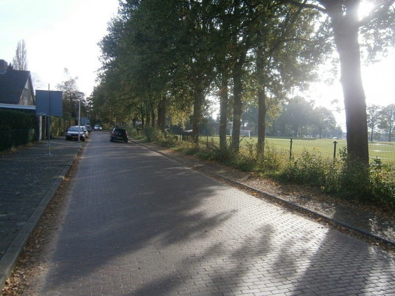 Lupineweg (2).JPG