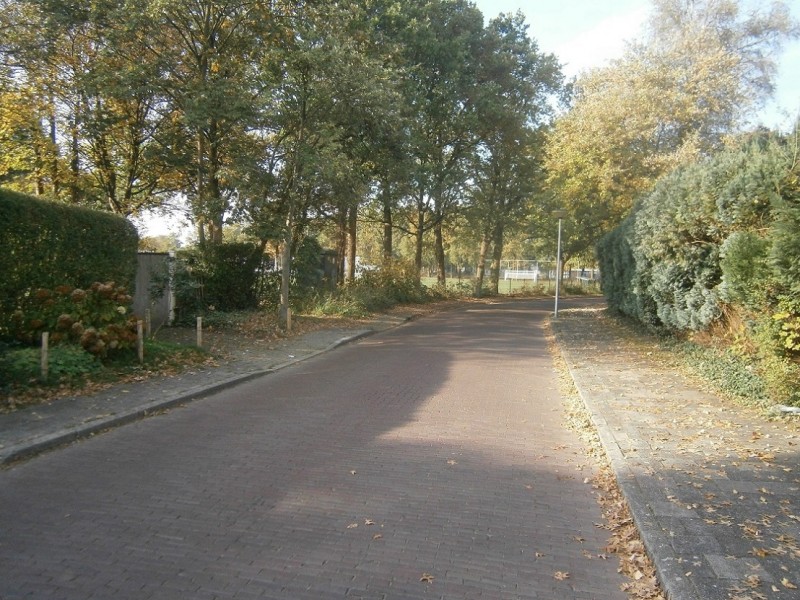 Lupineweg.JPG