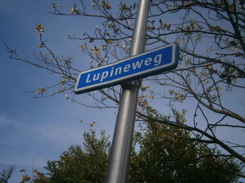 Lupineweg straatnaambord.JPG