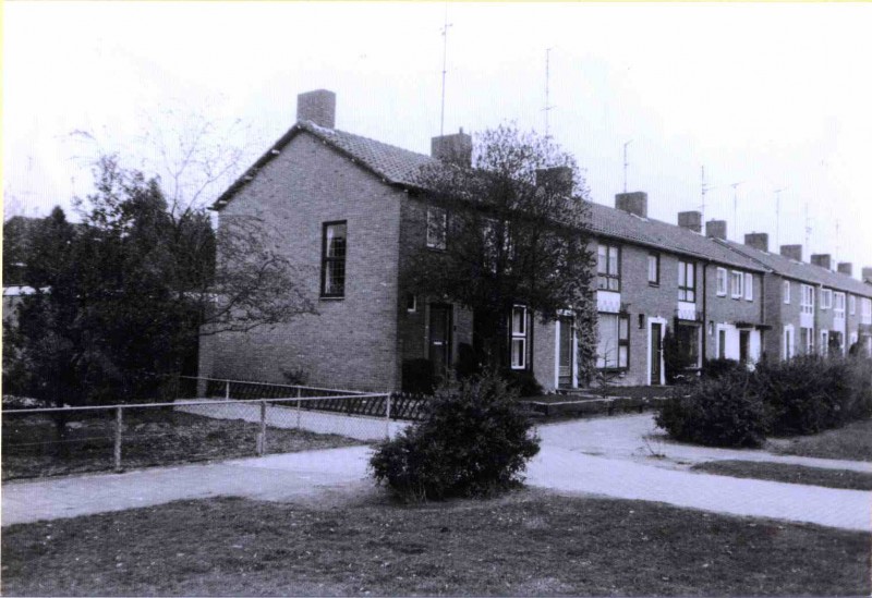 Pinksterbloemstraat mei 1977 Zicht op eengezinswoningen.jpg