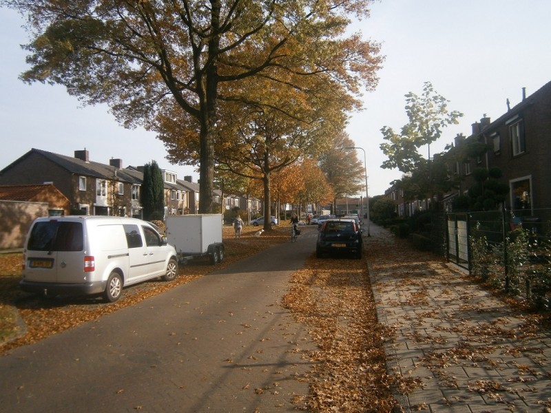 Pinksterbloemstraat (2).JPG