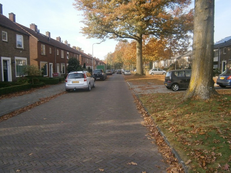 Pinksterbloemstraat.JPG