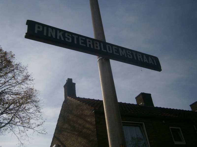 Pinksterbloemstraat straatnaambord.JPG