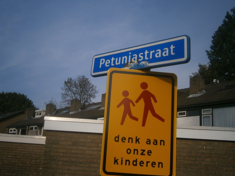 Petuniastraat straatnaambord.JPG