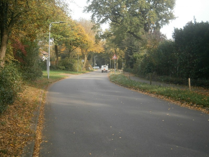 Sleutelbloemweg.JPG