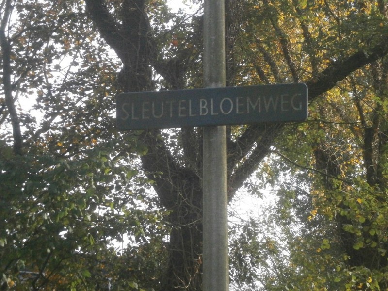 Sleutelbloemweg straatnaambord.JPG