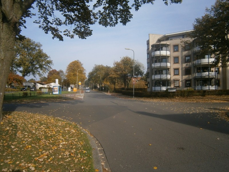 Floraparkstraat (4).JPG