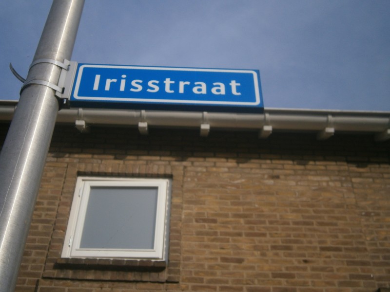 Irisstraat straatnaambord.JPG