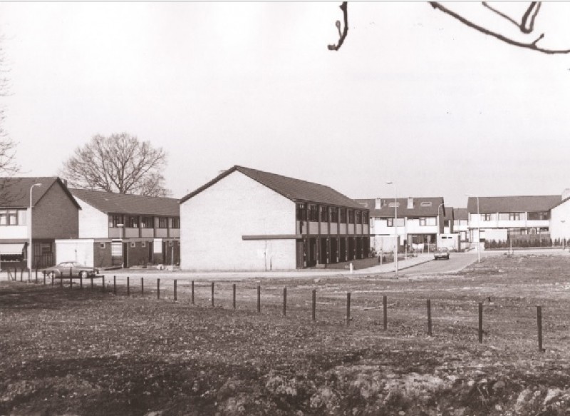 Anemoonstraat Nieuwbouwwoningen in plan Park Stokhorst.jpg