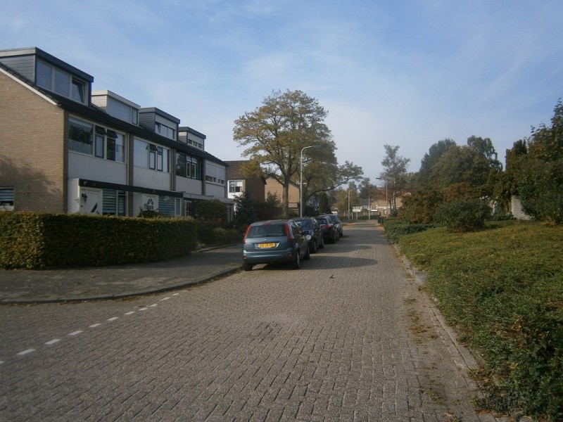 Anemoonstraat.JPG