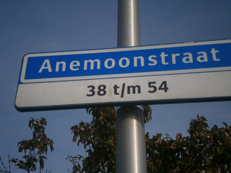 Anemoonstraat straatnaambord.JPG