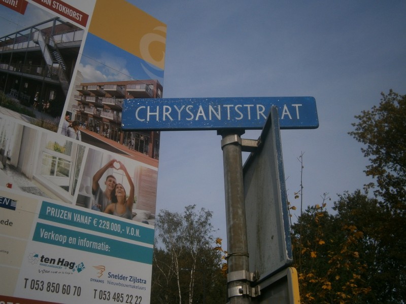 Chrysantstraat straatnaambord.JPG