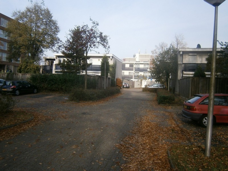 Pioenstraat.JPG