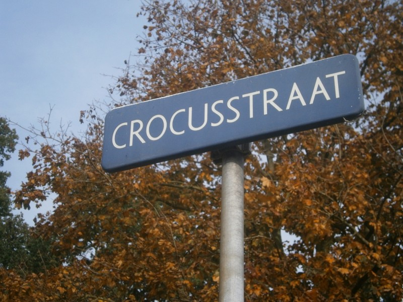 Crocusstraat straatnaambord.JPG