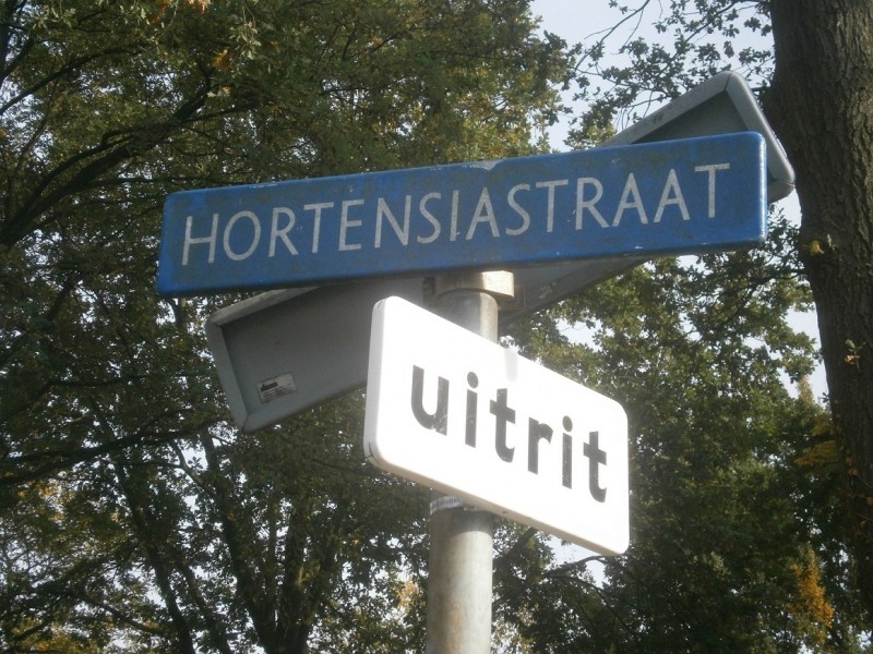 Hortensiastraat straatnaambord (2).JPG