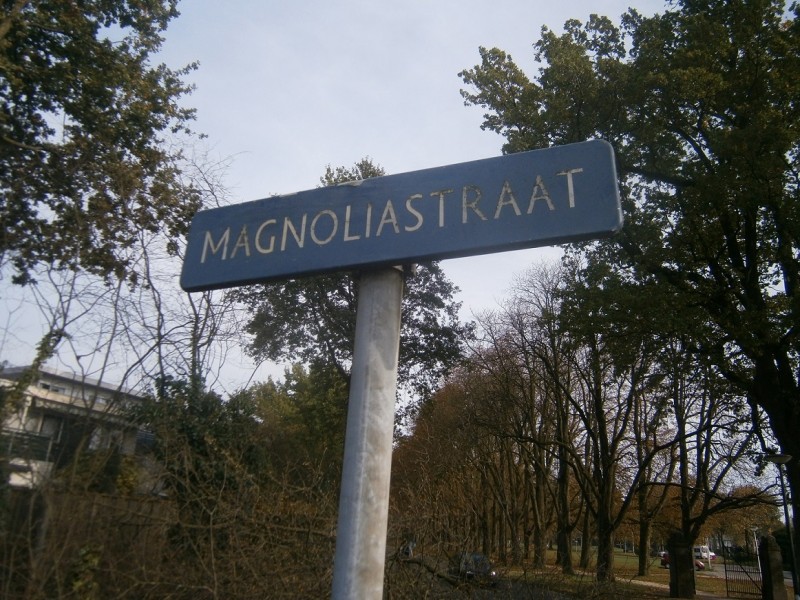 Magnoliastraat straatnaambord.JPG
