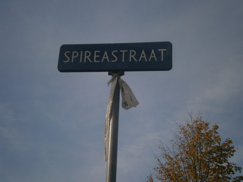 Spireastraat straatnaambord.JPG