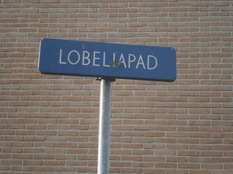 Lobeliapad straatnaambord.JPG