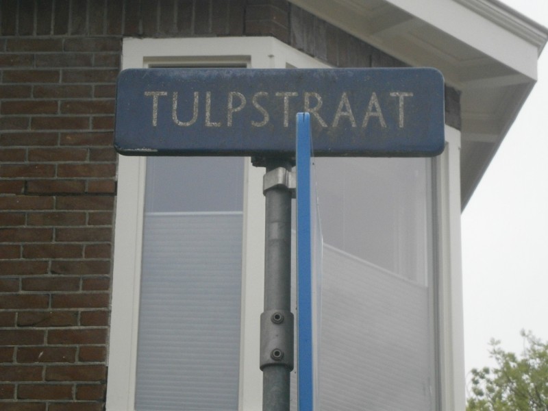 Tulpstraat straatnaambord.JPG