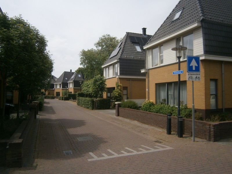 Violenstraat vanaf Rozenstraat.JPG