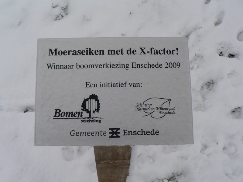 Papaverstraat bordje 3 eiken  winnaar boomverkiezing 2009.jpg