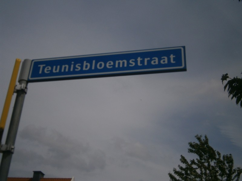 Teunisbloemstraat straatnaambord.JPG