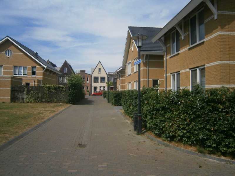 Korenbloemstraat richting Begoniastraat.JPG