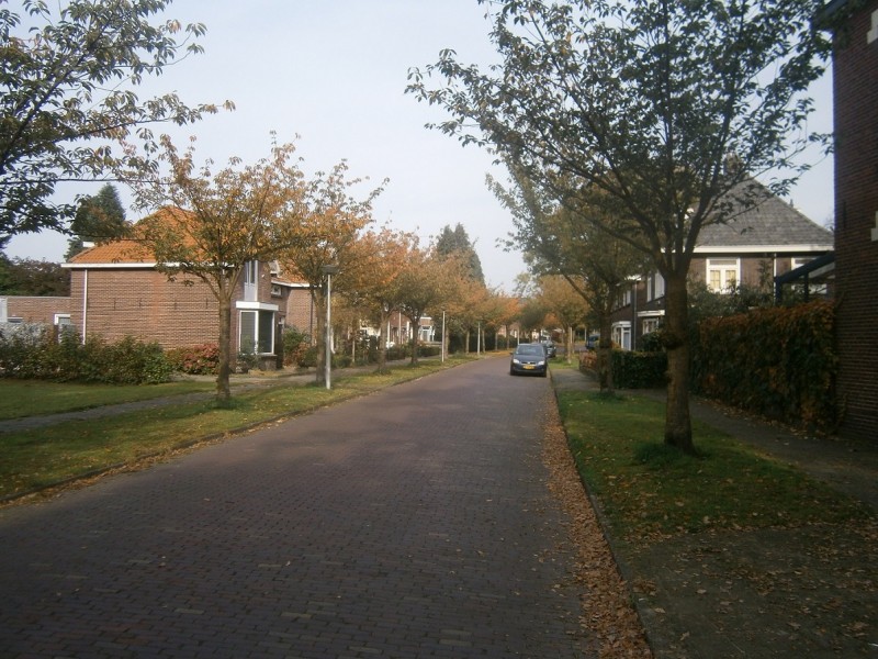 Hoge Boekelerweg.JPG
