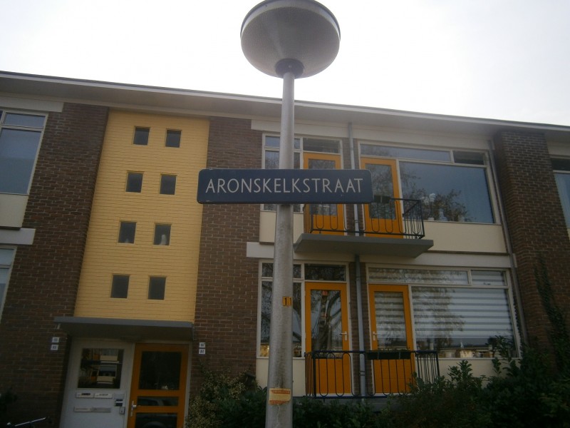 Aronskelkstraat straatnaambord (2).JPG